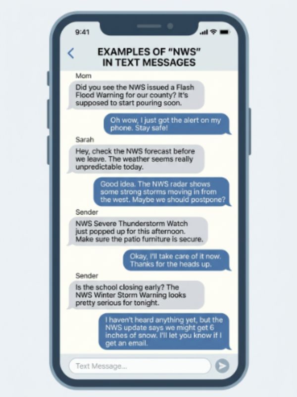 Examples of NWS in Text Conversations