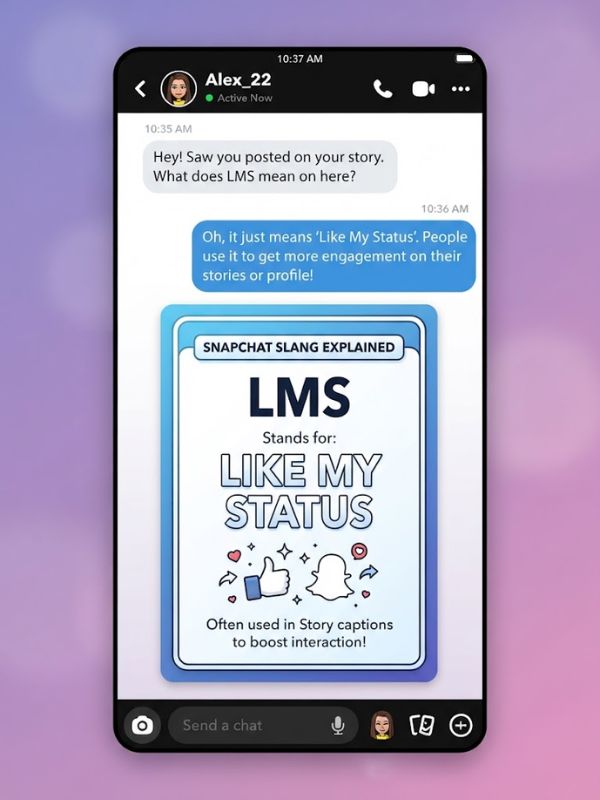 LMS Meaning on Snapchat