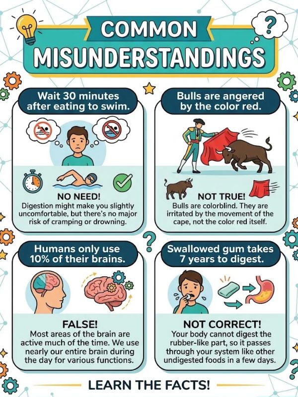 Common Misunderstandings