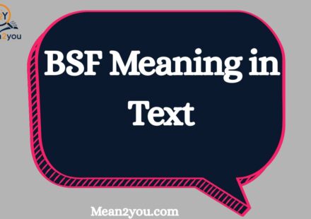 BSF Meaning in Text: What It Means and How to Use It in Messages
