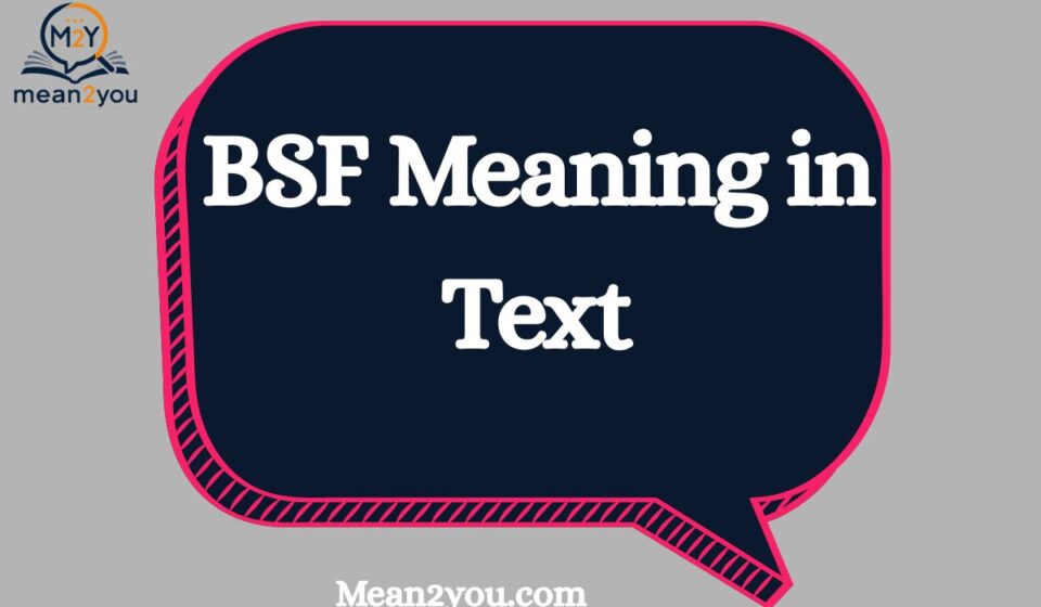 BSF Meaning in Text: What It Means and How to Use It in Messages