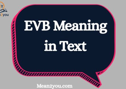 EVB Meaning in Text: Complete Guide with Examples, Full Form & Usage (2026)