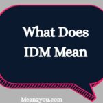 IDM Meaning in Text: What Does IDM Mean in Chat, Snapchat & Social Media? (2026 Guide)
