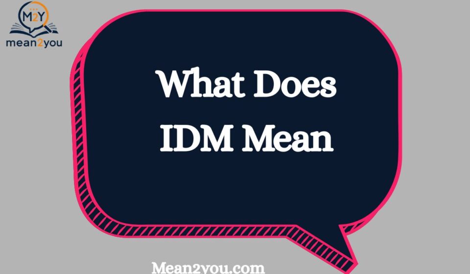 IDM Meaning in Text: What Does IDM Mean in Chat, Snapchat & Social Media? (2026 Guide)