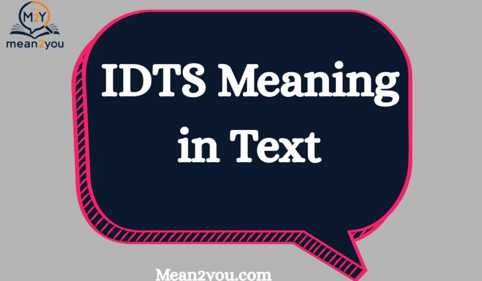 IDTS Meaning in Text: What It Means, How to Use It & Examples (2026)