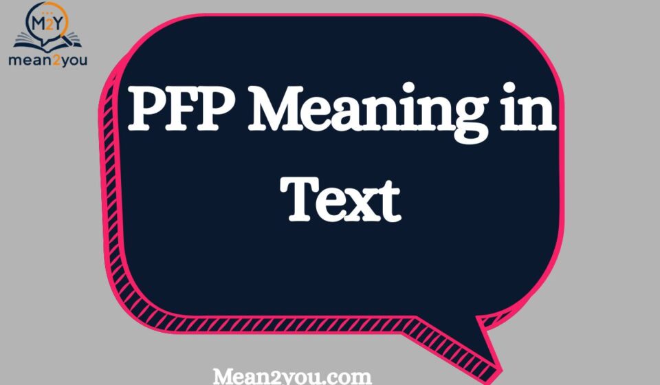 PFP Meaning in Text: What Does PFP Mean in Chat, Snapchat & Social Media? (2026 Guide)