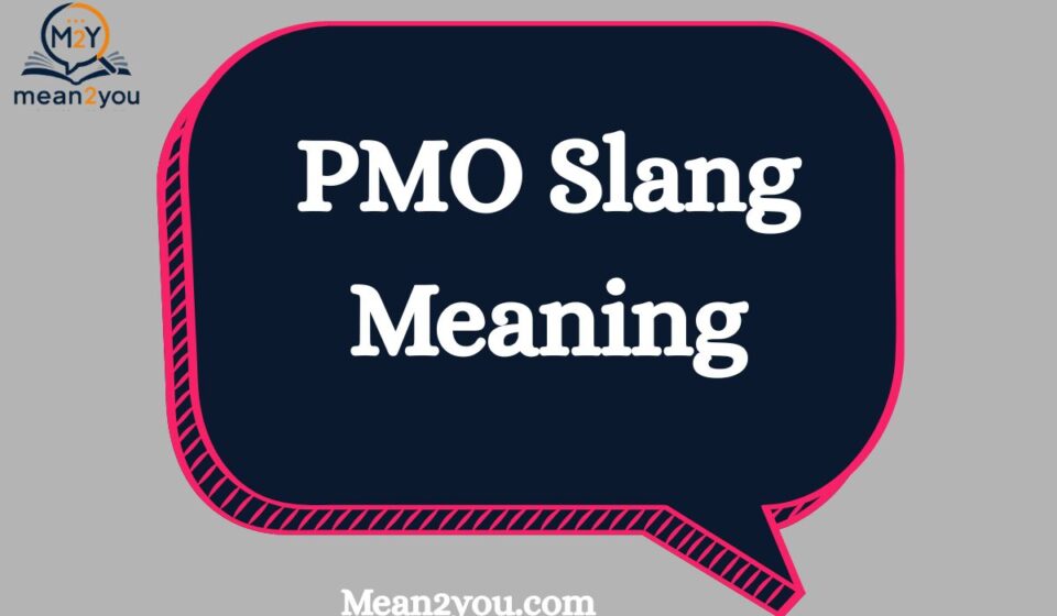 PMO Slang Meaning: What Does PMO Mean in Text, Snapchat & TikTok? (2026 Guide)