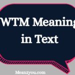 WTM Meaning in Text: What Does WTM Mean in Snapchat, TikTok & Messages (2026 Guide)