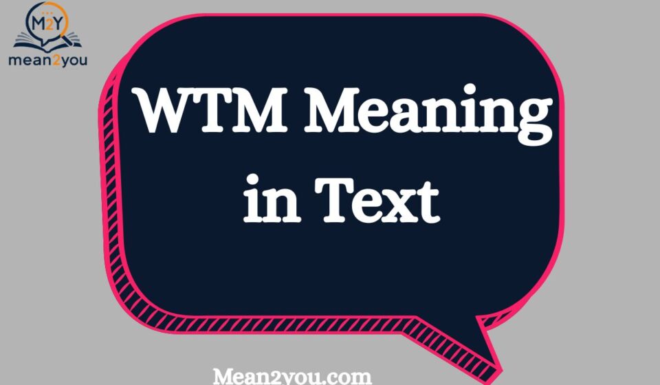 WTM Meaning in Text: What Does WTM Mean in Snapchat, TikTok & Messages (2026 Guide)