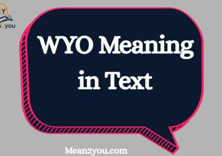 WYO Meaning in Text: What Does WYO Mean in Chat, Snapchat & Social Media? (2026 Guide)