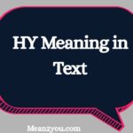 HY Meaning in Text What Does HY Mean in Chat & Slang