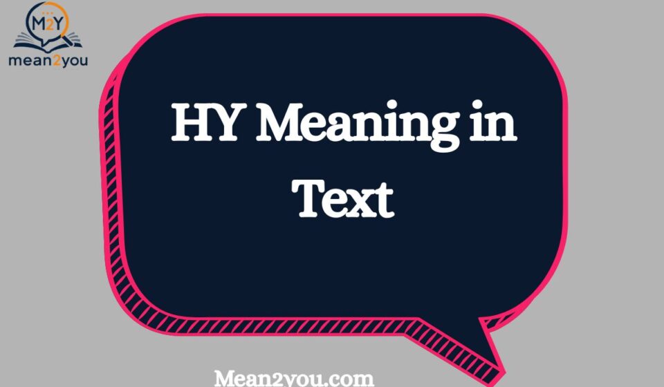 HY Meaning in Text What Does HY Mean in Chat & Slang