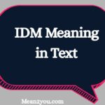 IDM Meaning in Text: What Does IDM Mean in Chat, Snapchat & Social Media? (2026 Guide)
