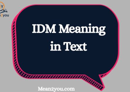 IDM Meaning in Text: What Does IDM Mean in Chat, Snapchat & Social Media? (2026 Guide)