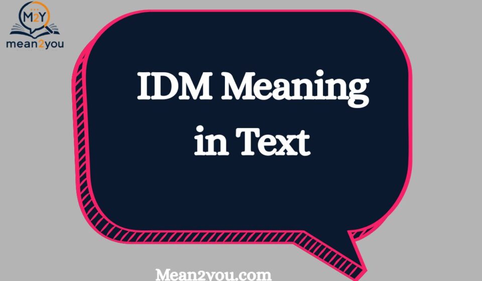 IDM Meaning in Text: What Does IDM Mean in Chat, Snapchat & Social Media? (2026 Guide)
