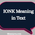 IONK Meaning in Text: What Does IONK Mean in Chat & Slang?