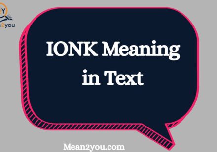 IONK Meaning in Text: What Does IONK Mean in Chat & Slang?