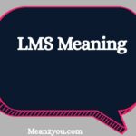 LMS Meaning: What Does LMS Mean in Text, Chat & Social Media?