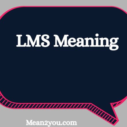 LMS Meaning: What Does LMS Mean in Text, Chat & Social Media?
