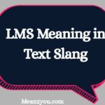 LMS Meaning in Text Slang: What Does LMS Mean in Texting & Social Media?