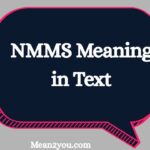 NMMS Meaning in Text: What Does NMMS Mean in Chat & Slang?