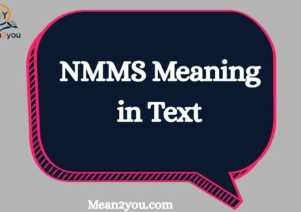 NMMS Meaning in Text: What Does NMMS Mean in Chat & Slang?