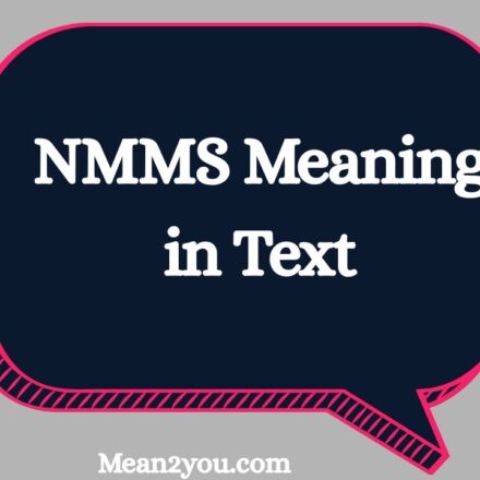 NMMS Meaning in Text: What Does NMMS Mean in Chat & Slang?