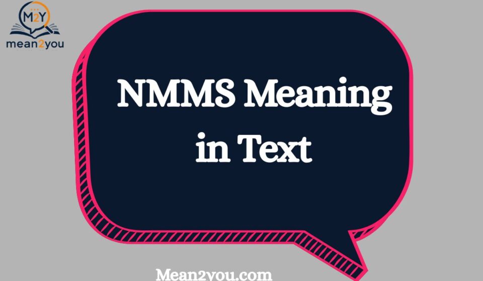 NMMS Meaning in Text: What Does NMMS Mean in Chat & Slang?