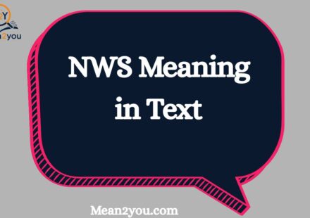 NWS Meaning in Text: What Does NWS Mean in Chat, Text & Slang?
