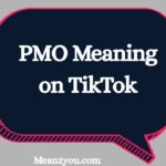 PMO Meaning on TikTok: What Does PMO Mean on TikTok?
