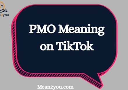 PMO Meaning on TikTok: What Does PMO Mean on TikTok?