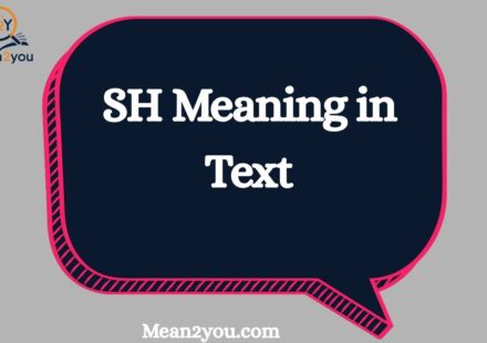 SH Meaning in Text: What Does SH Mean in Chat and Texting?