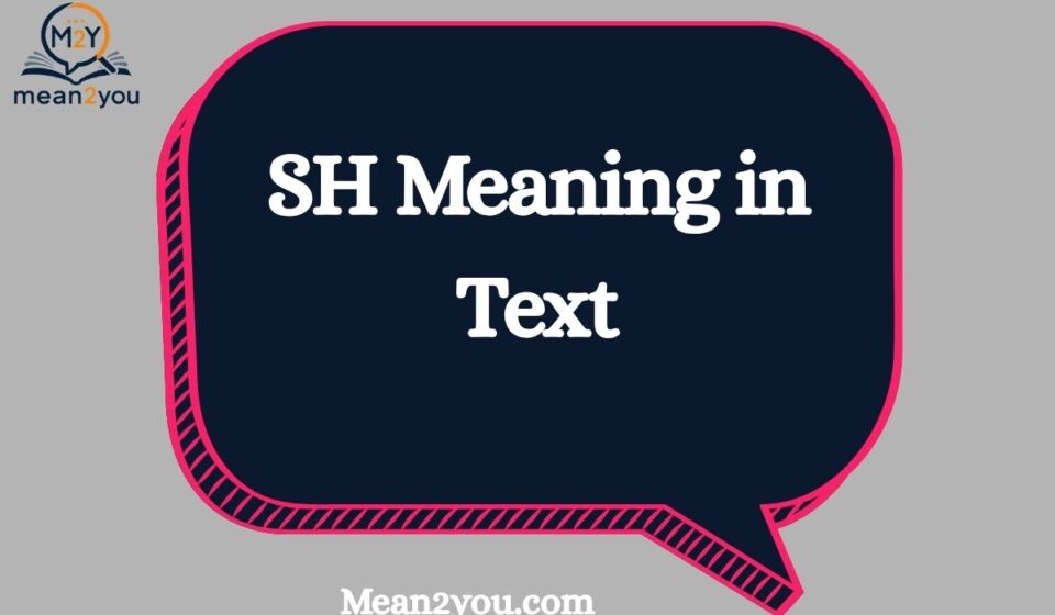 SH Meaning in Text: What Does SH Mean in Chat and Texting?