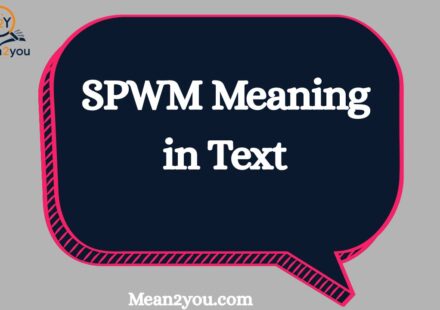 SPWM Meaning in Text: What Does SPWM Mean in Chat, Text & Slang?