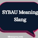 SYBAU Meaning Slang: What Does SYBAU Mean in Text & TikTok?