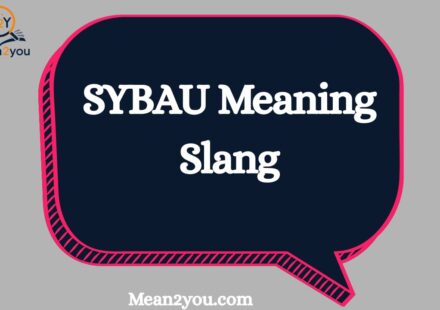 SYBAU Meaning Slang: What Does SYBAU Mean in Text & TikTok?