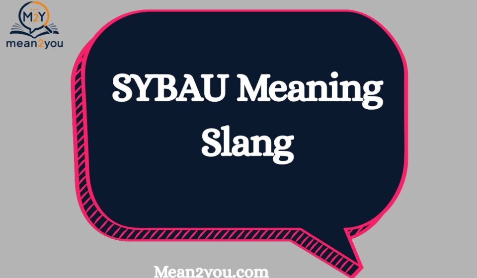 SYBAU Meaning Slang: What Does SYBAU Mean in Text & TikTok?