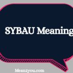 SYBAU Meaning: What Does SYBAU Mean in Text and Social Media?