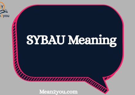 SYBAU Meaning: What Does SYBAU Mean in Text and Social Media?