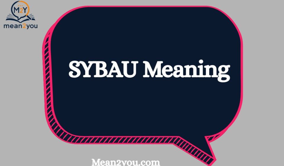 SYBAU Meaning: What Does SYBAU Mean in Text and Social Media?