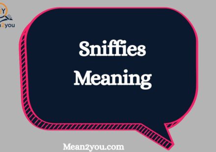 Sniffies Meaning: What Does Sniffies Mean in Text, Slang & Online?