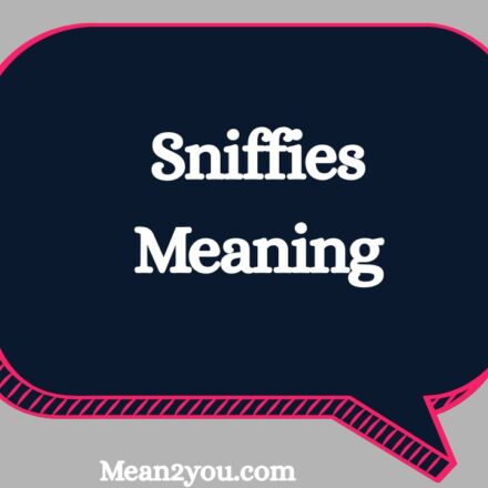 Sniffies Meaning: What Does Sniffies Mean in Text, Slang & Online?