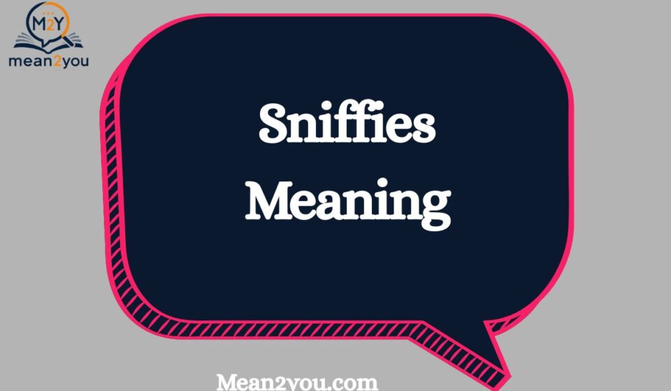 Sniffies Meaning: What Does Sniffies Mean in Text, Slang & Online?