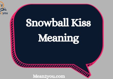 Snowball Kiss Meaning: Definition, Origin & What It Really Means (2026 Guide)