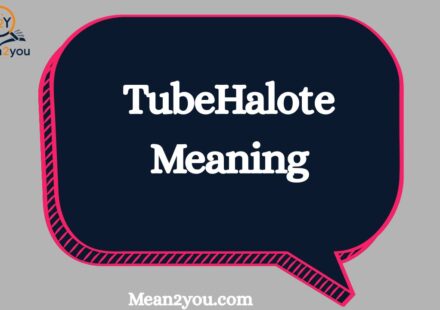 TubeHalote Meaning Explained: Definition, Origin & How to Use It