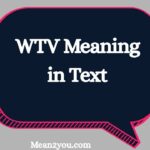 WTV Meaning in Text: What Does WTV Mean in Chat, Text & Slang?