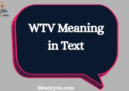 WTV Meaning in Text: What Does WTV Mean in Chat, Text & Slang?