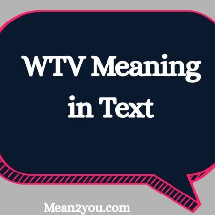 WTV Meaning in Text: What Does WTV Mean in Chat, Text & Slang?