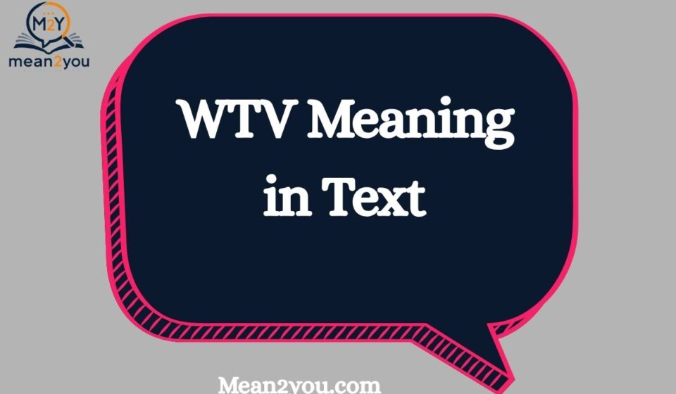WTV Meaning in Text: What Does WTV Mean in Chat, Text & Slang?