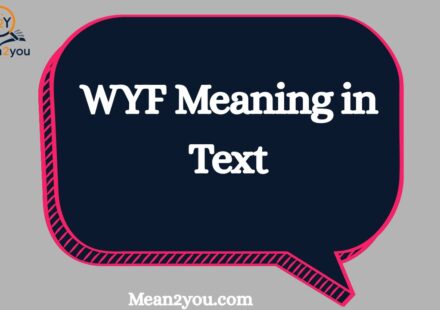 WYF Meaning in Text: What Does WYF Mean in Chat & Slang?